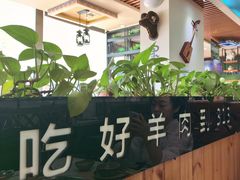 -313羊庄鲜羊火锅·鲜羊肉烧烤(李村店)