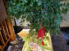 -雨后行菜(报慈北路店)