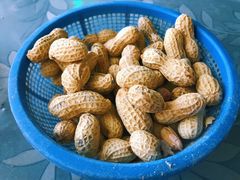 -洞背山庄(洞背院区式管理小区店)