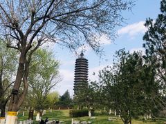 -西海子公园