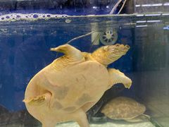 -维客超市(胶南店)