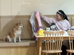 -柴の食堂·日式家庭料理·熊之肆(大学路店)