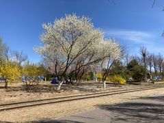 -永定河休闲森林公园