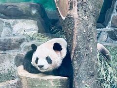 -杭州动物园