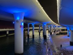 -演武大桥观景平台