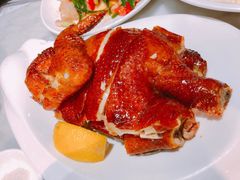 -糖朝(尖沙咀店)