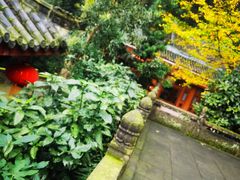 -都江堰普照寺