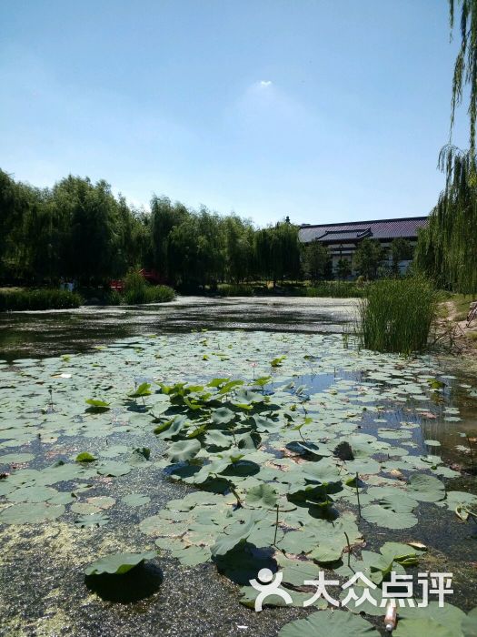 百汇龙宫-图片-沈阳休闲娱乐-大众点评网