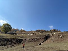 -芦芽山旅游度假区