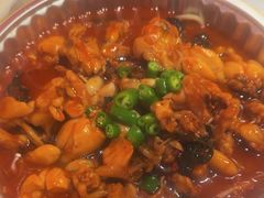 -美蛙四季(亦庄店)