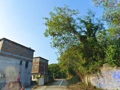 -香竹农庄•传统竹筒饭(十年店)