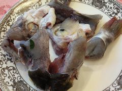 -孔庆璞河豚馆(白玉兰酒店)