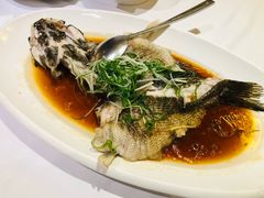 清蒸笋壳鱼（1.5斤）-同庆楼(滨湖万达广场店)