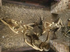 -福禧酒窖·中餐厅 (万柳店)