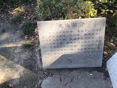 -昆山城市生态森林公园