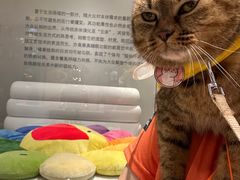 -融创·外滩壹号院