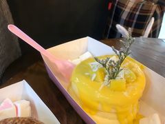 -狐狸和向日葵(北京路店)