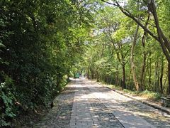 -紫金山天文台