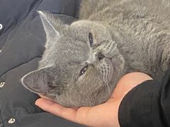 -平行世界·猫咖(首经贸店)