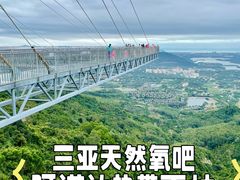 -呀诺达热带雨林