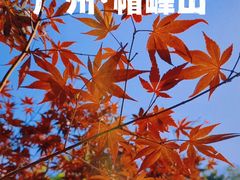 -广州市帽峰山景区