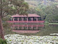 -顺峰山公园