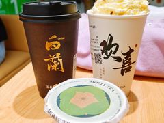开心果芝士-茉莉奶白(广州动漫星城店)