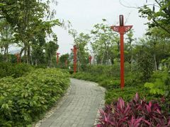 -飞来湖湿地公园