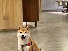 -山下C5cafe(惠通时代广场店)