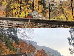 -北京上方山国家森林公园
