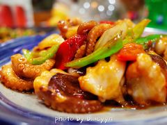 酱爆八爪鱼-渔娘渔家丹东海鲜(东直门店)