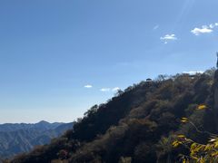 -大岭沟猕猴桃谷风景区
