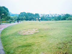 -金海湾滨江公园