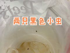 冷萃咖啡-Peet's Coffee皮爷咖啡(大学路店)