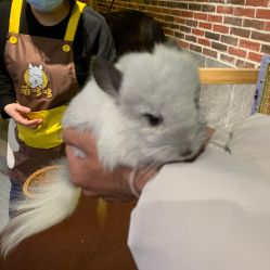 -萌哆哆·宠物乐园(福清店)