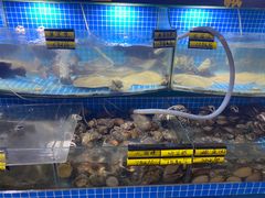 水产区-茉沏(昆山金鹰店)