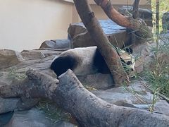 -宁波野生动物园