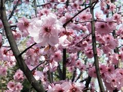 -上海滨江森林公园·停车场