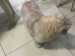 -新洞口小吃(三元二路店)