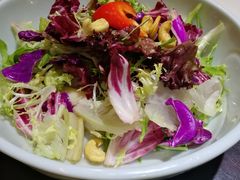 阿西娅大拌菜-阿西娅食府(中关村店)