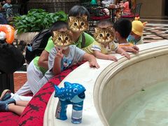 -深圳东部华侨城茵特拉根酒店
