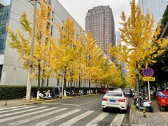 -四川大学(华西校区)