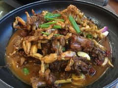 -农轩·醉黄冈