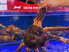 -驻海渔市(置信店)