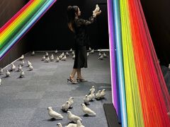 -福田美术馆——新童话主义－周艺文艺术季