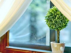 -春风·有糖(崇宁路店)