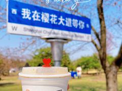 -上海辰山植物园