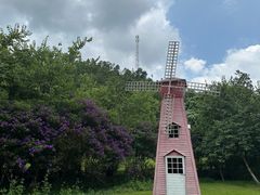 -广州白江湖森林公园