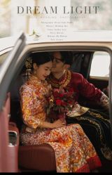 -喜乐汇·婚车(华润橡树湾3期店)