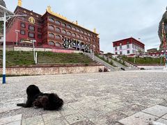 -孜珠寺